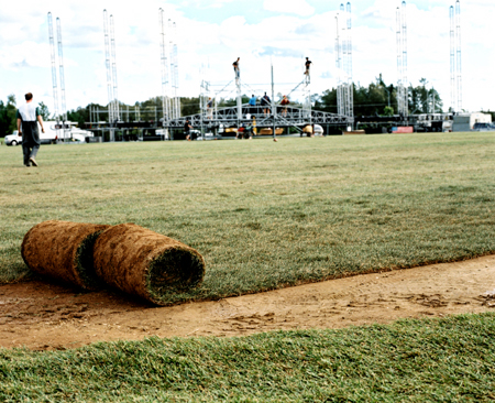 Large grass sushi rolling.