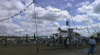 Peace Flags