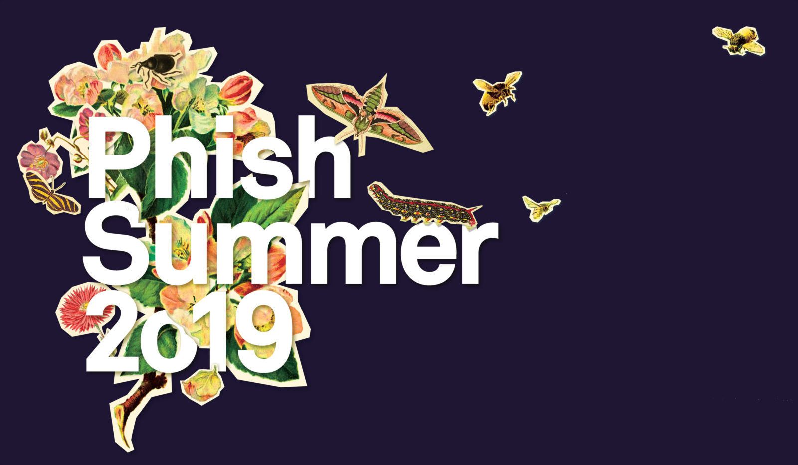 Phish Summer Tour 2019 Announced – Phish