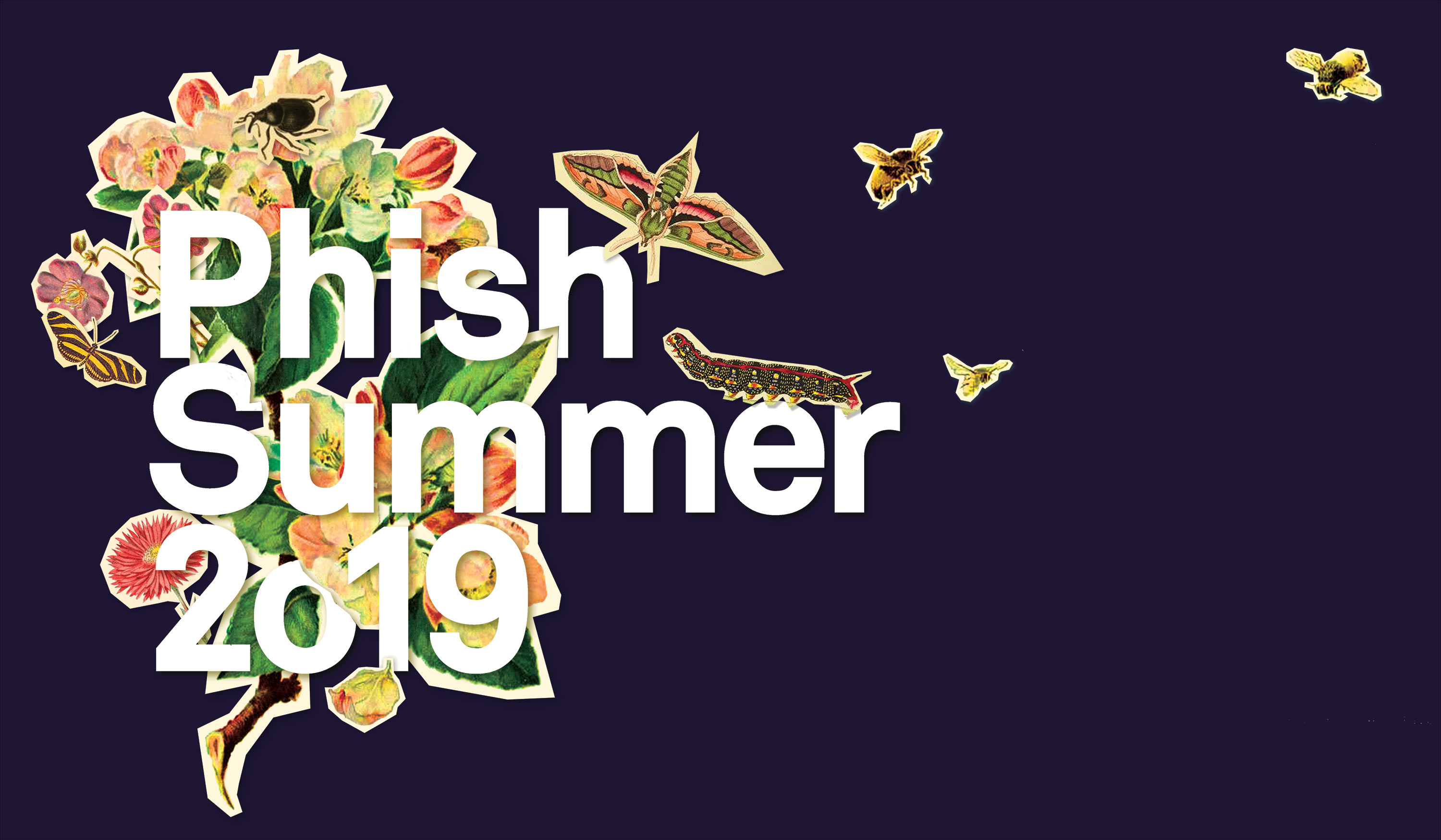 phish summer tour 2019